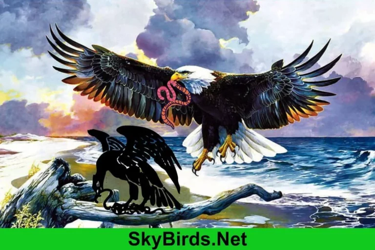 Do Eagles Eat Worms Unveiling the Dietary Habits of Majestic Birds