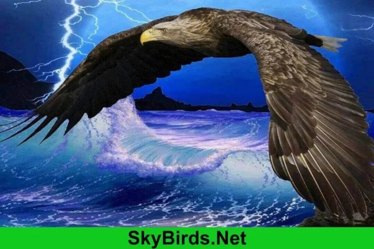 background image for Eagle voices audio