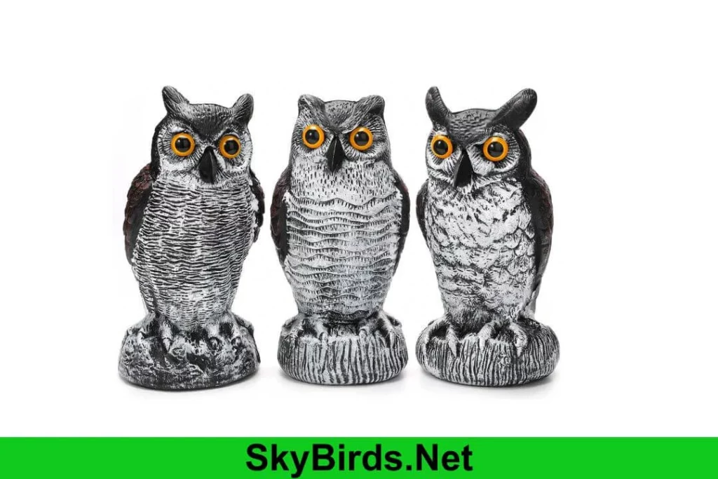 Do Fake Owls Keep Snakes Away? Separating Fact from Fiction