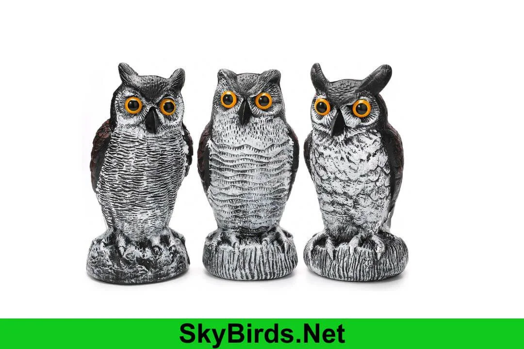 Do Fake Owls Keep Snakes Away? Separating Fact from Fiction