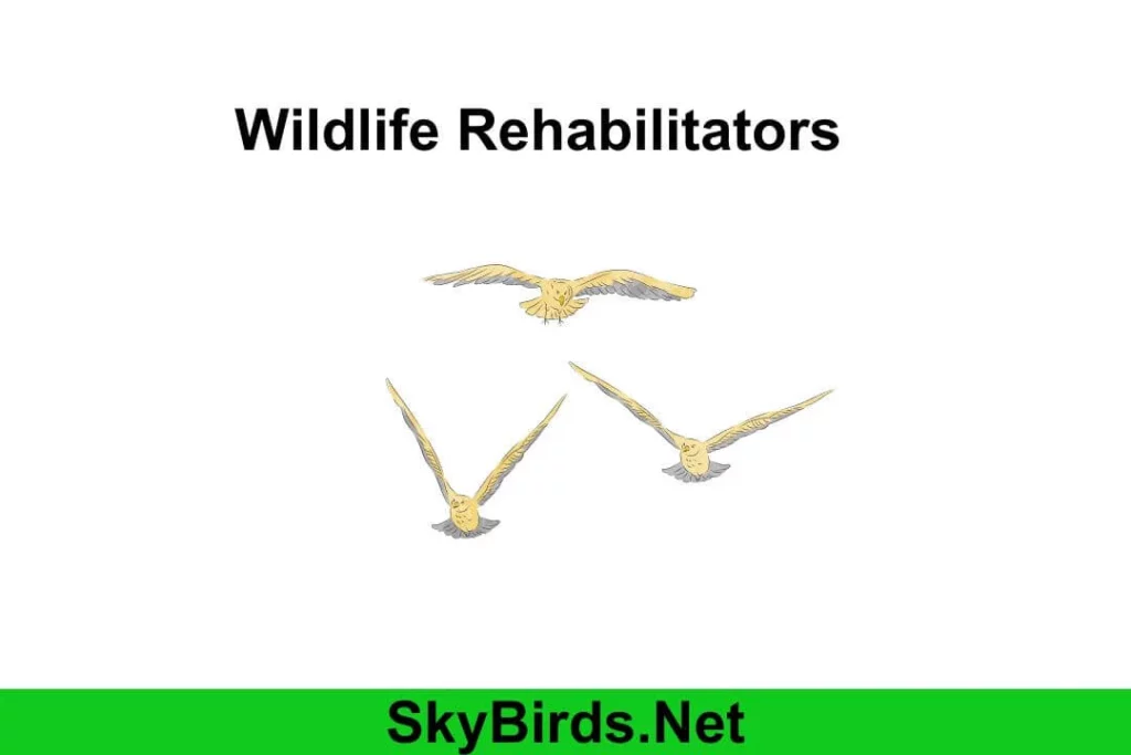 Do Not Attempt to Rehabilitate on Your Own: Wildlife rehabilitators